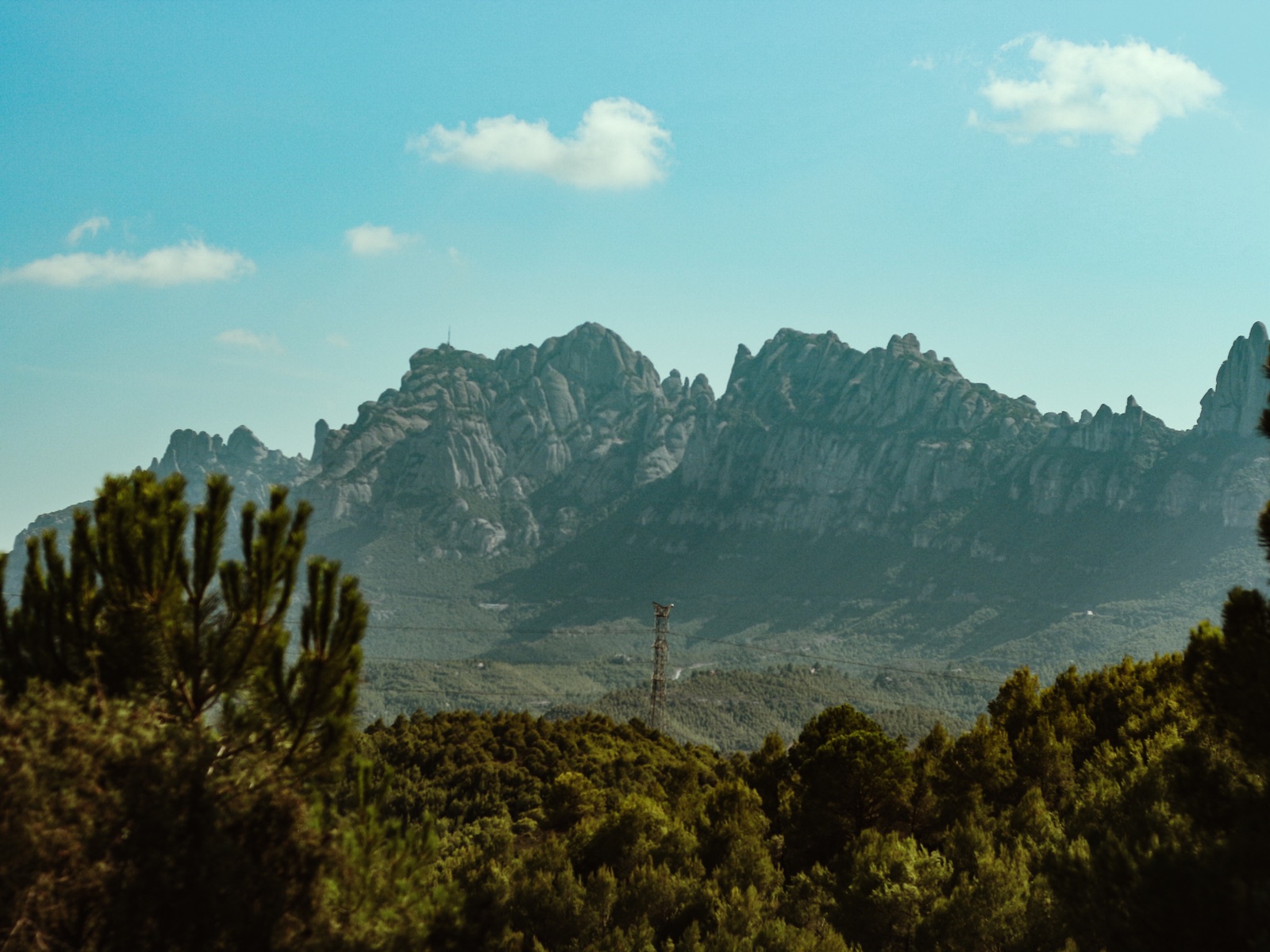 Les formes de pedra de Montserrat sobre el bosc